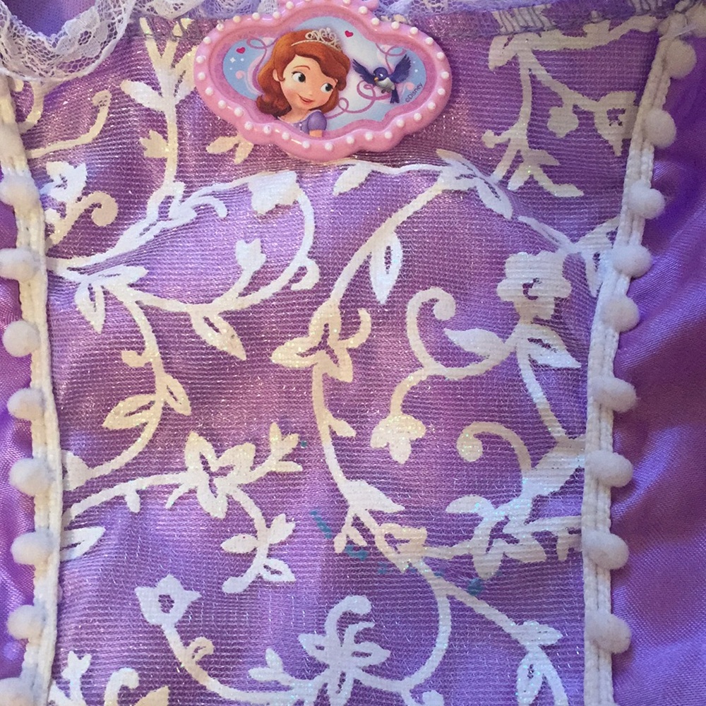Sofia the First 2-Piece Costume - Picture 4 of 6